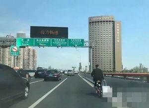 延安高架爆料视频最新,现场实况直击，揭秘工程进展与挑战